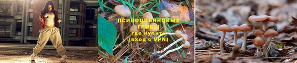 кокаин колумбия Ельня