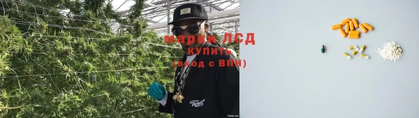 кокс Дмитриев