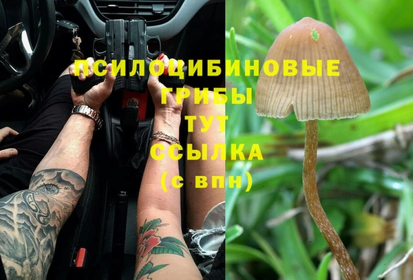 кокаин колумбия Ельня