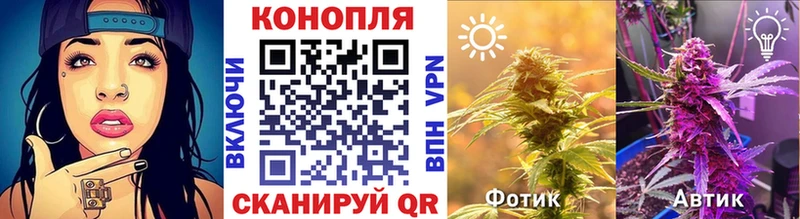 Бошки марихуана THC 21% Камышлов